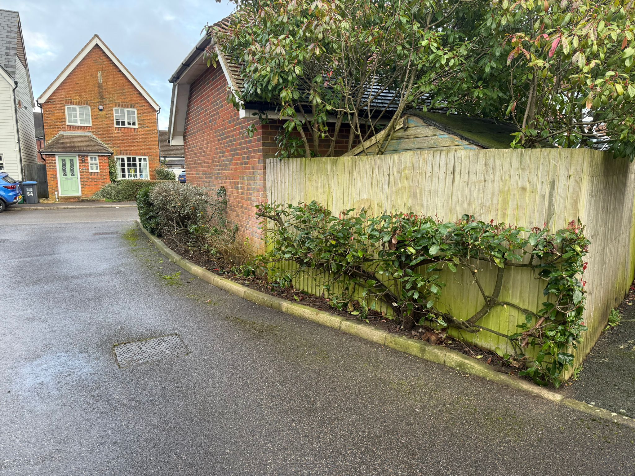 Before & After: Boundary Hedge Trimming - After