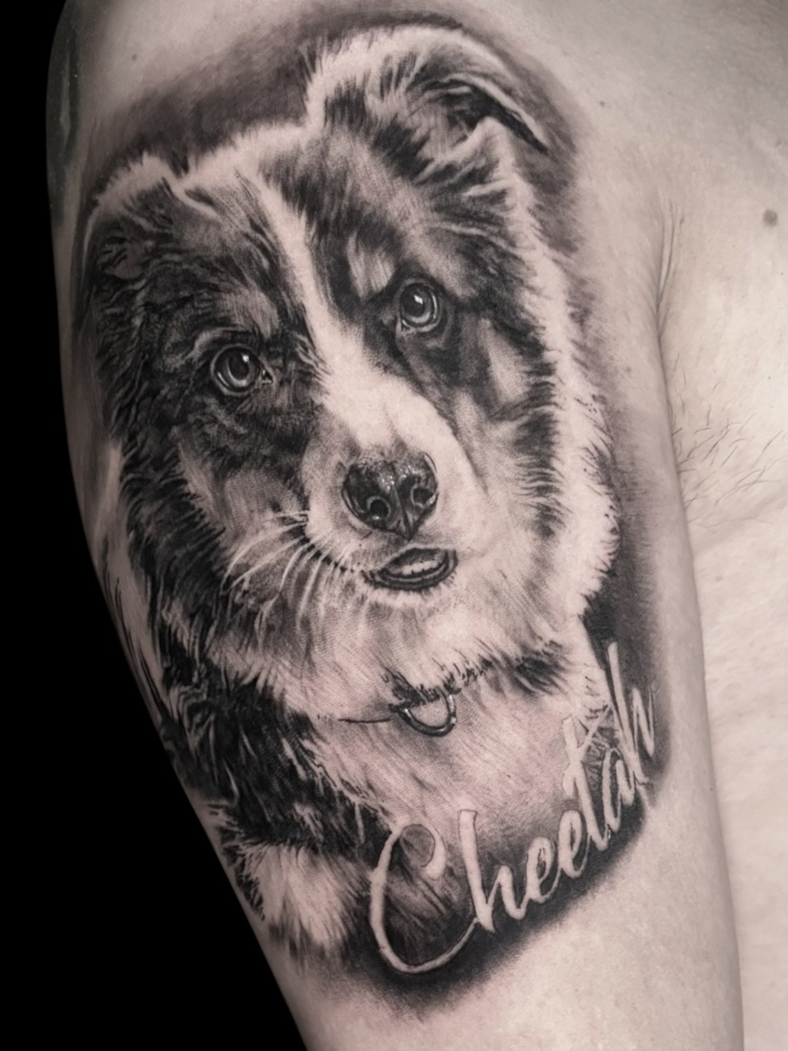 Realistisch portret van een border collie met de naam Cheetah op de bovenarm