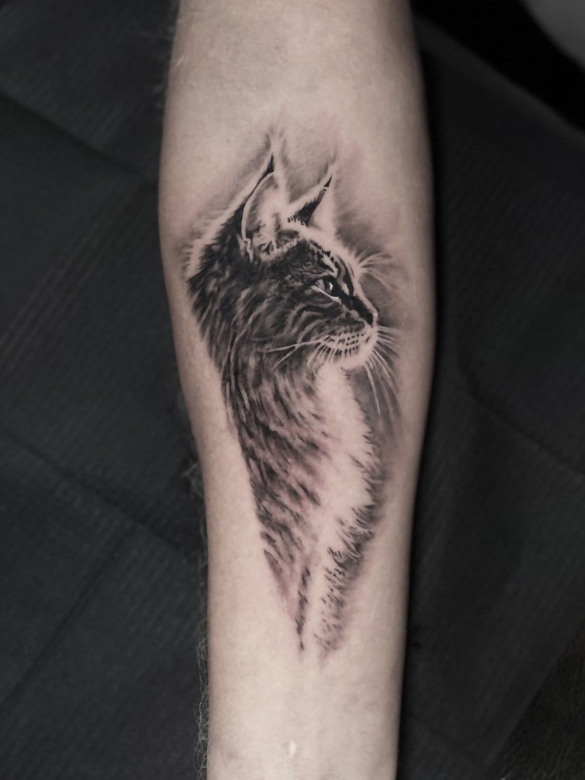 Realistisch portret van een kat in profiel op de onderarm