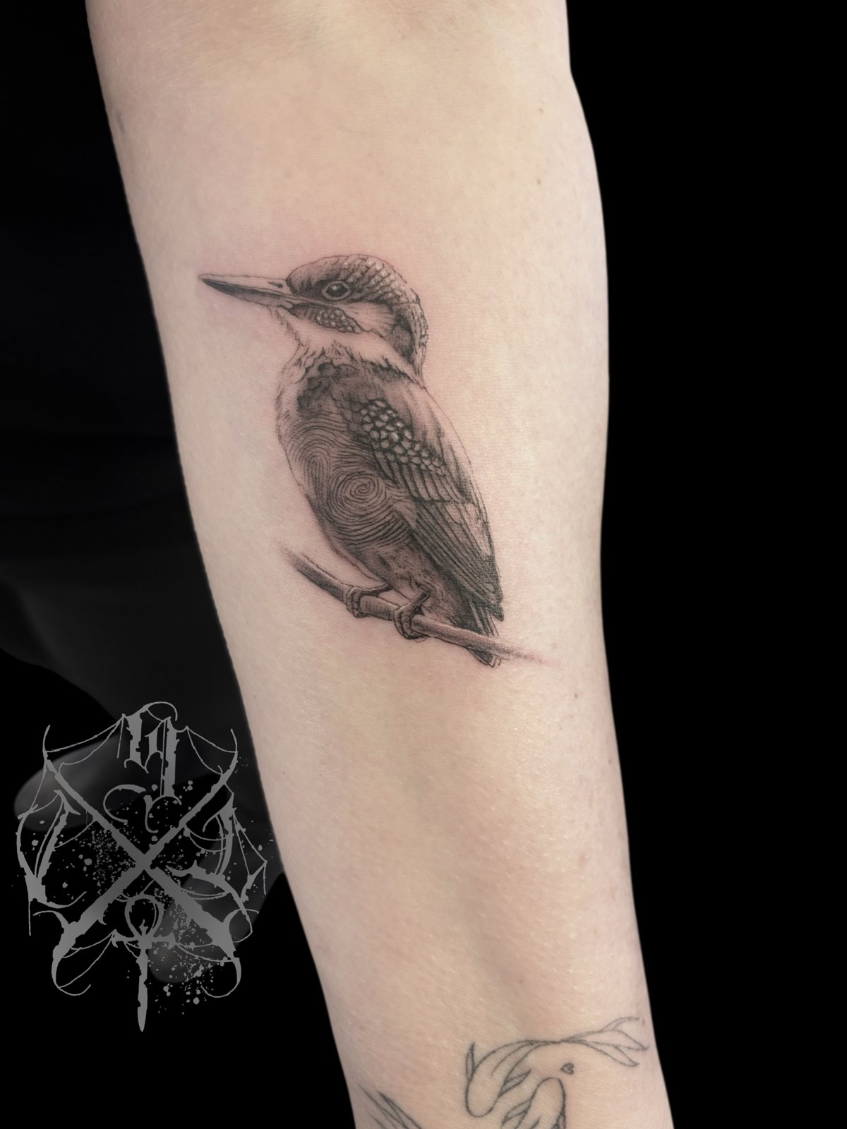 Microrealistische ijsvogel op een tak