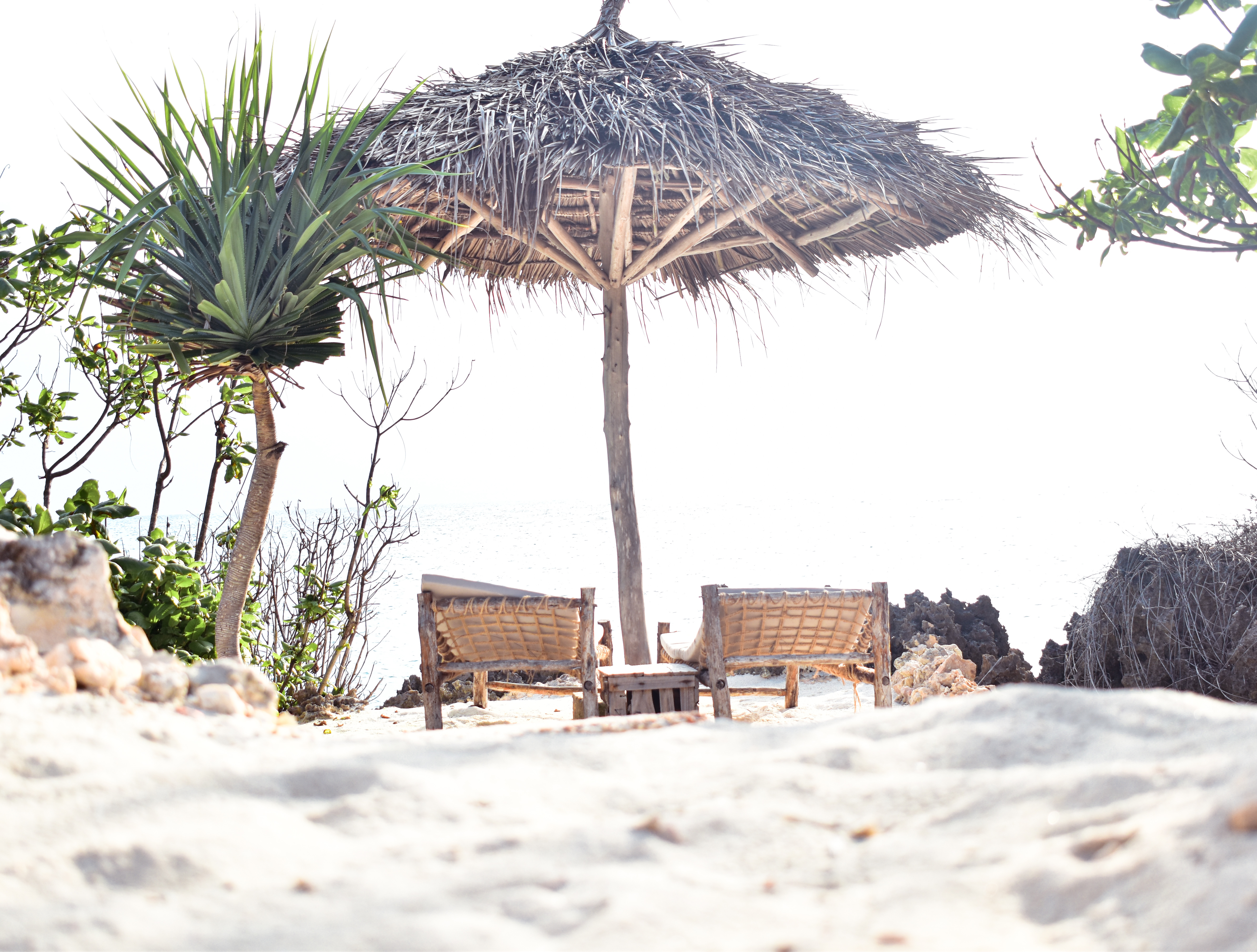 Amateur beach chairs photo - flat, unedited