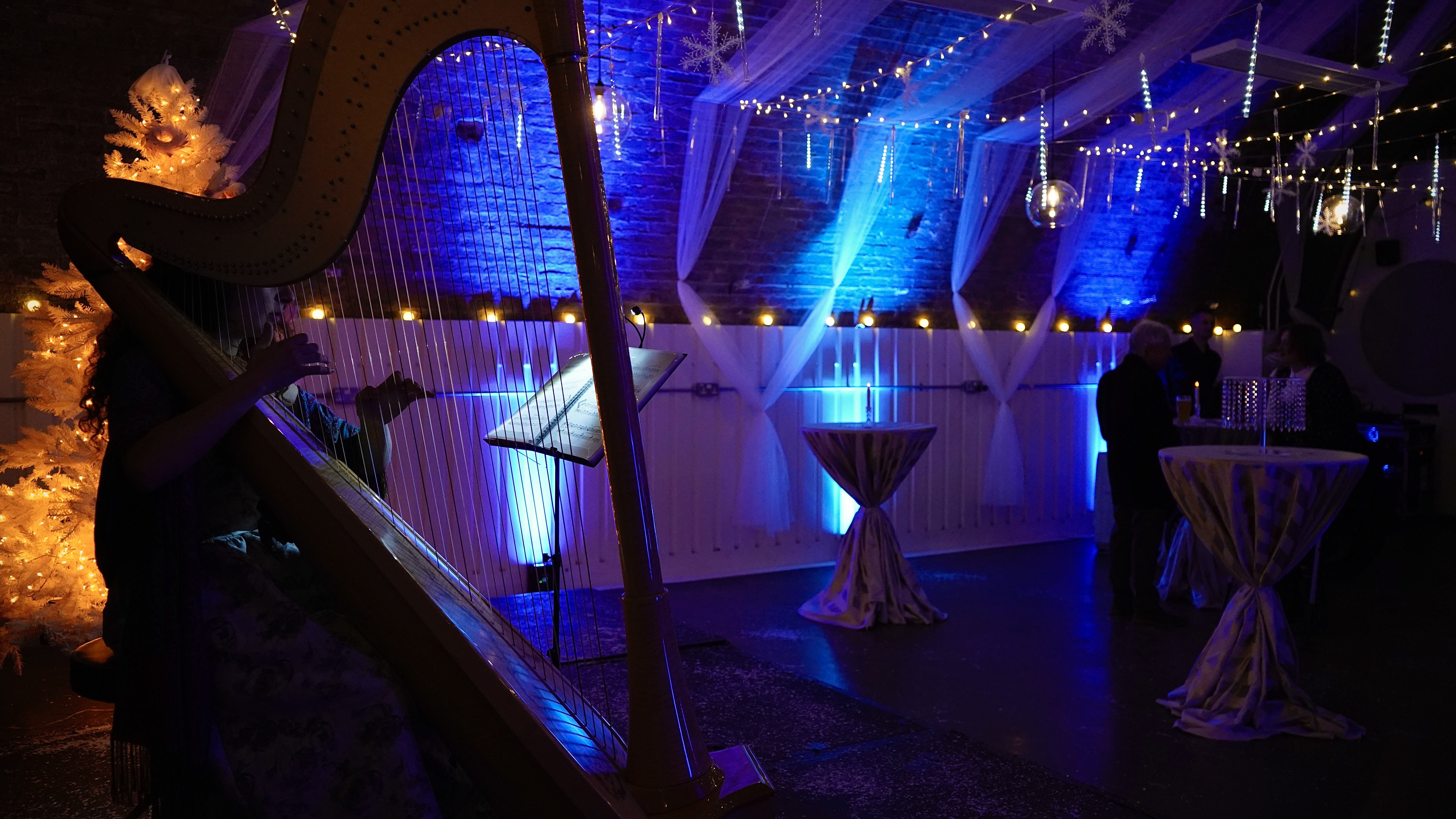 Harp and fairy lights
