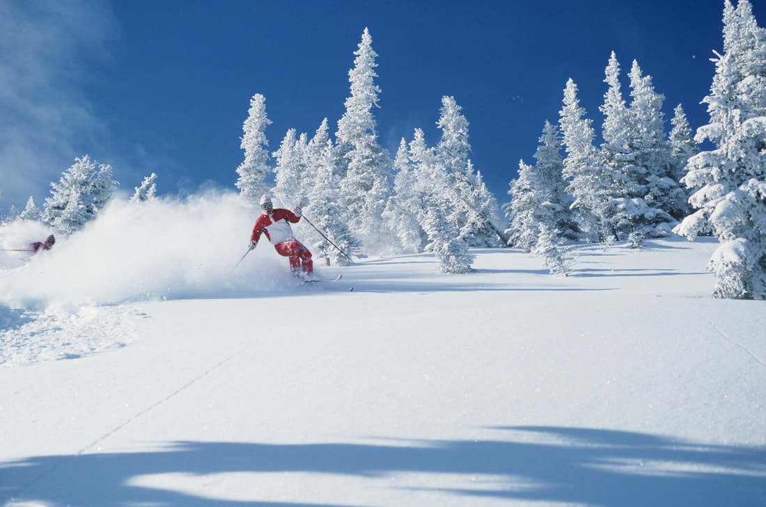 Skisport