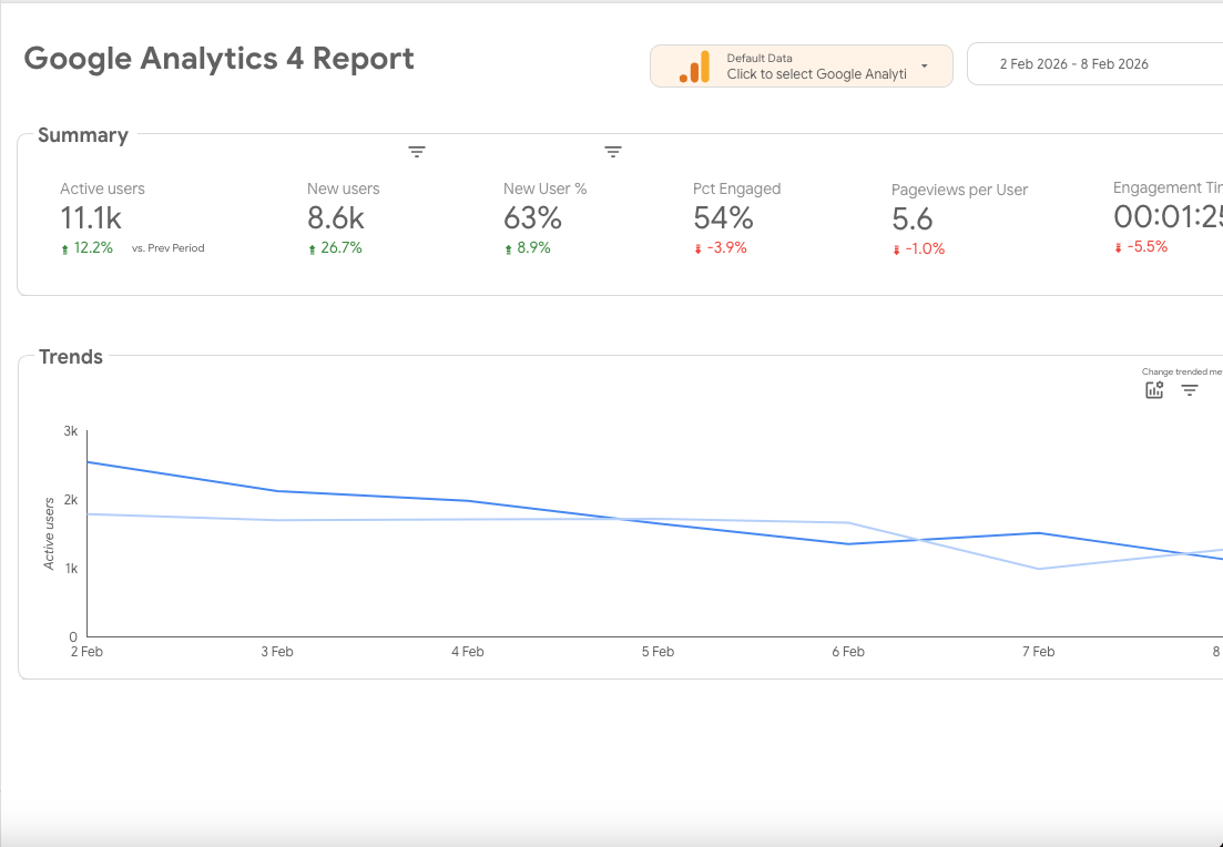 Website Traffic Reporting
