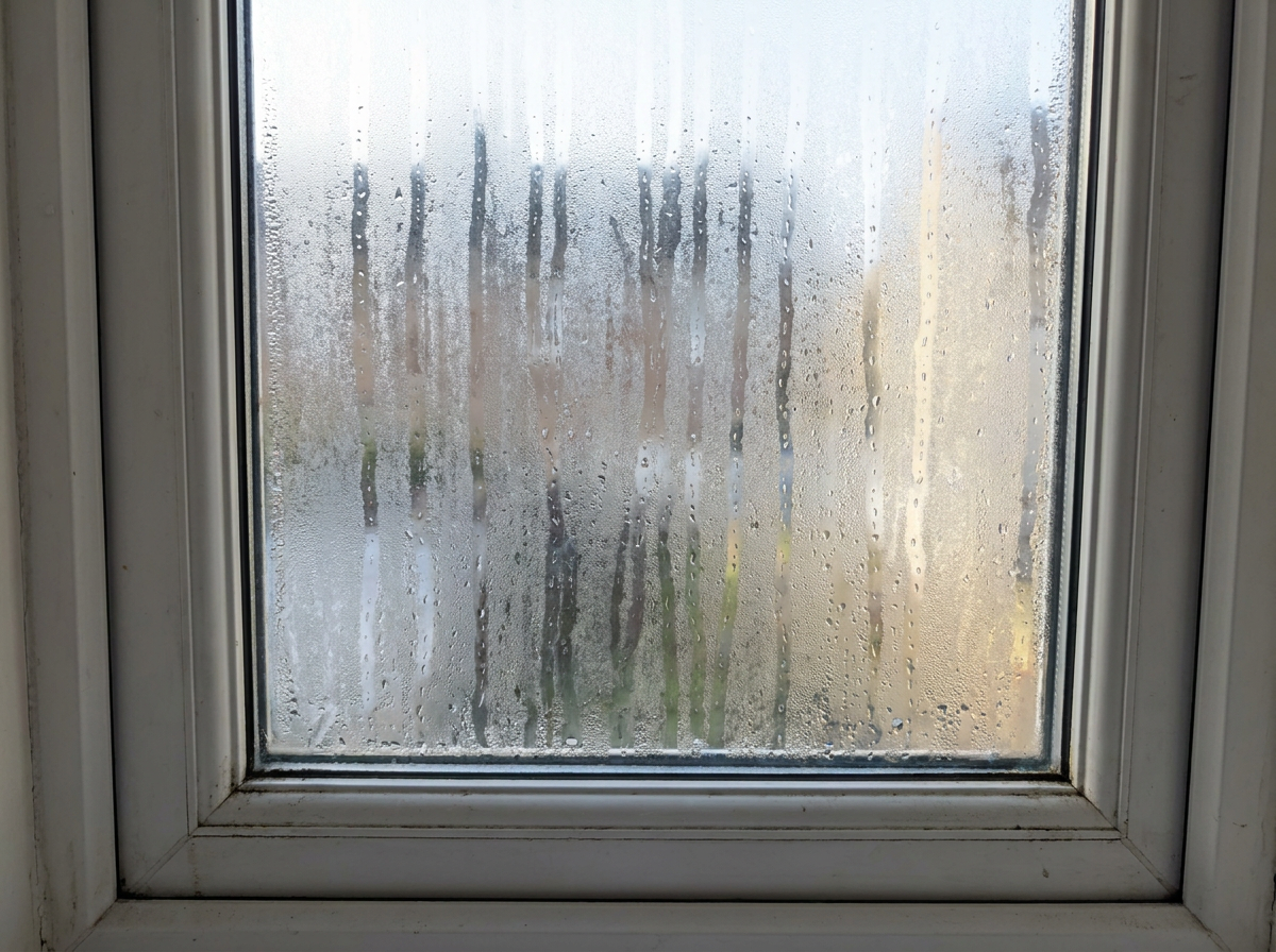 Glass Repairs Service