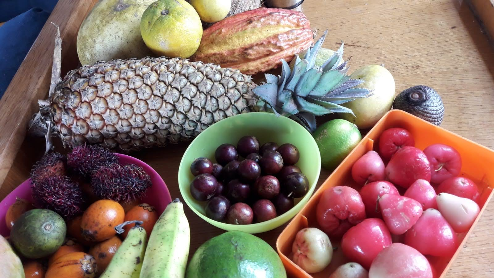 Tropisch fruit van het landgoed: ananas, avocado, limoenen, ramboetan, cacao en meer