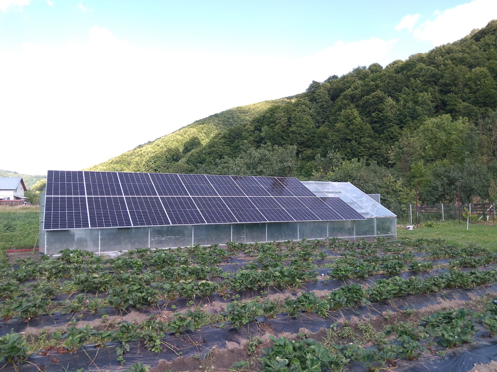 Sera agricola cu panouri fotovoltaice pe acoperis - Grosii Tiblesului Maramures