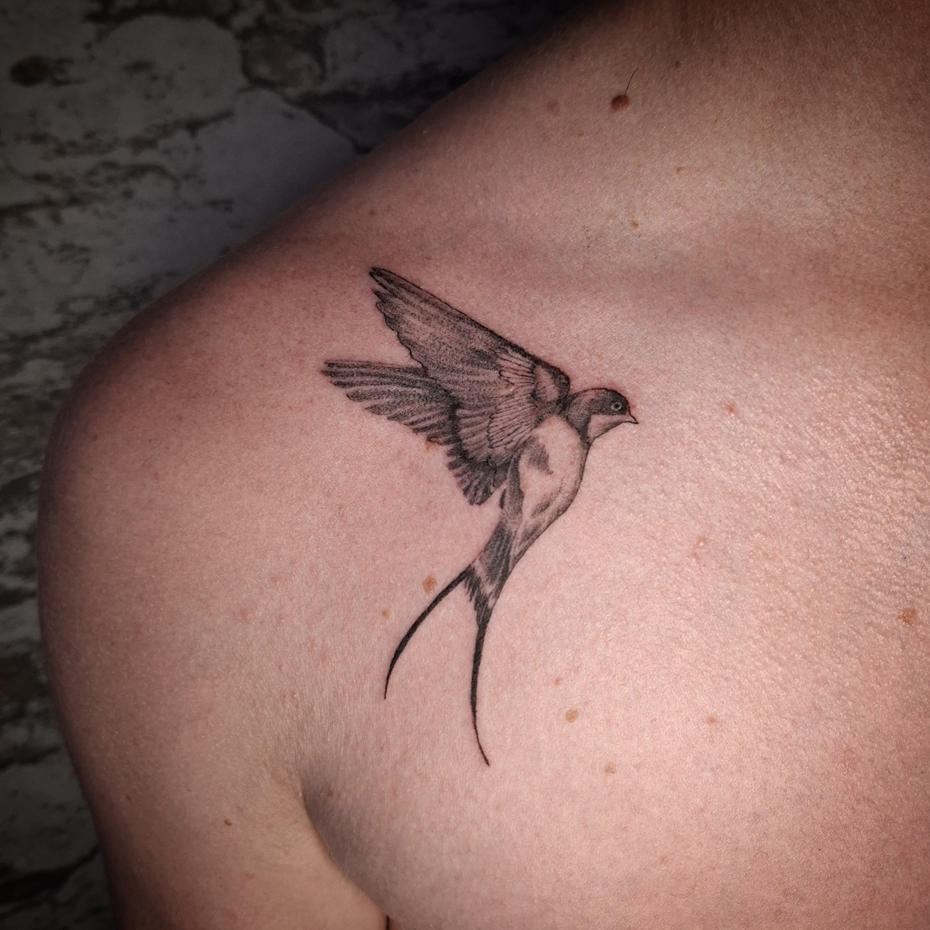 Tatuaje realista de golondrina